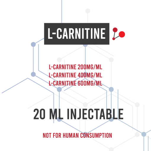 L-Carnitine | Amino Asylum Research Compound
